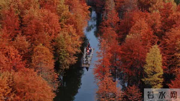 十月一适合去哪旅游