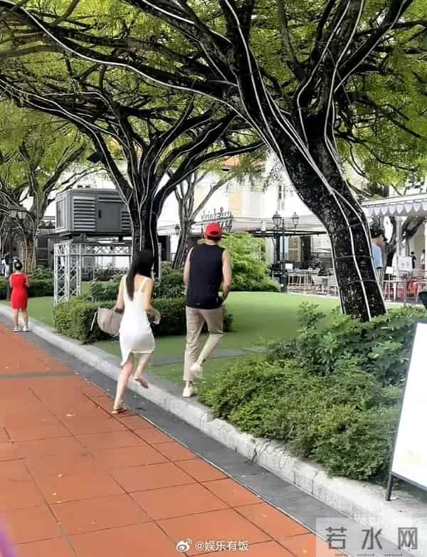 宋茜尼坤starking