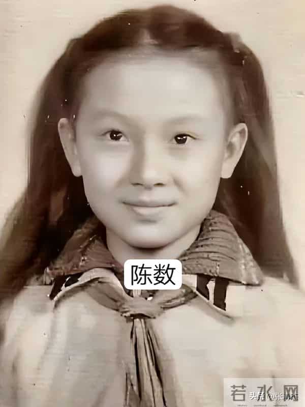 陈数为什么不能生育