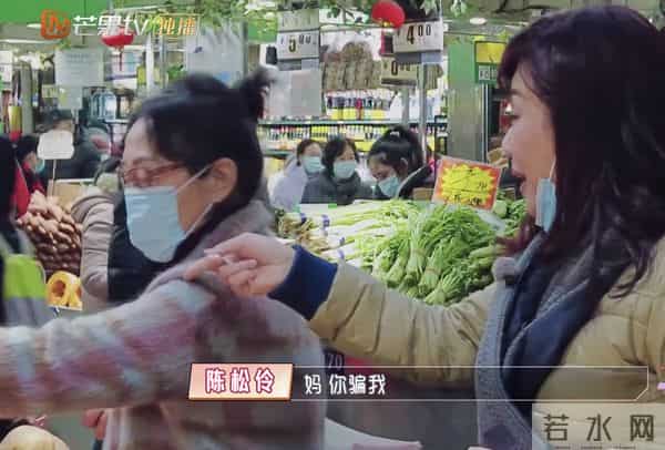 陈松伶05年发生了什么