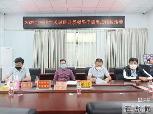 王菲菲个人资料