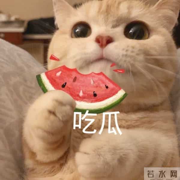 公开承认养小鬼的明星