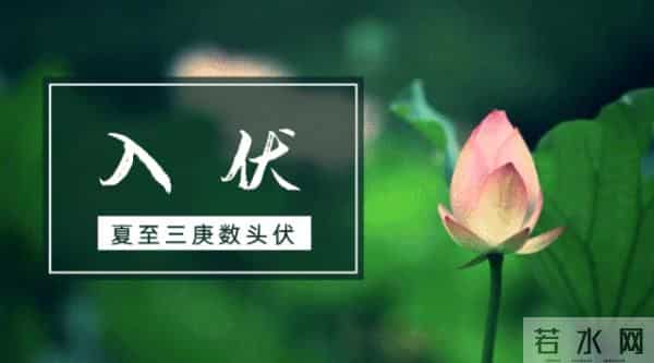 2021年入伏第一天