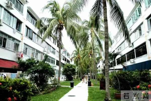 峇峇是什么意思