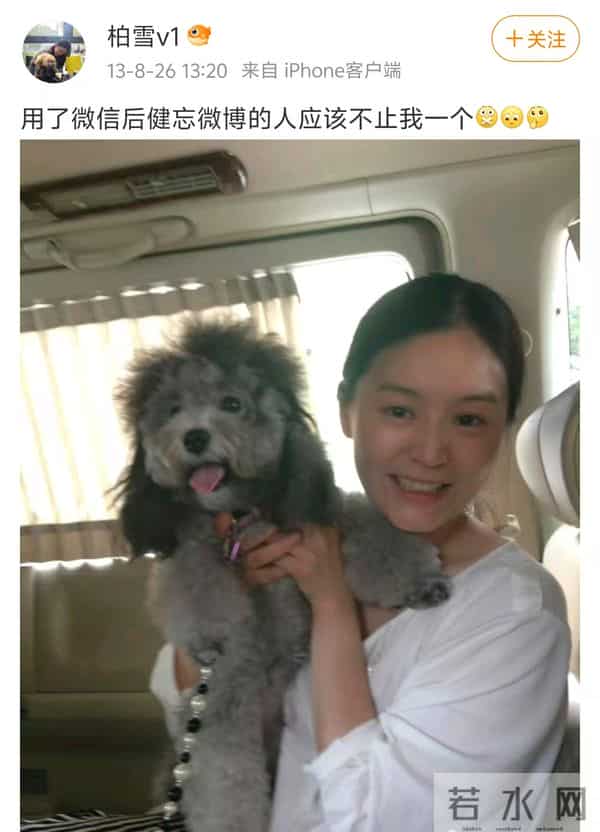 刘怡君个人资料