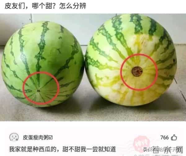 风雨无阻mp3下载