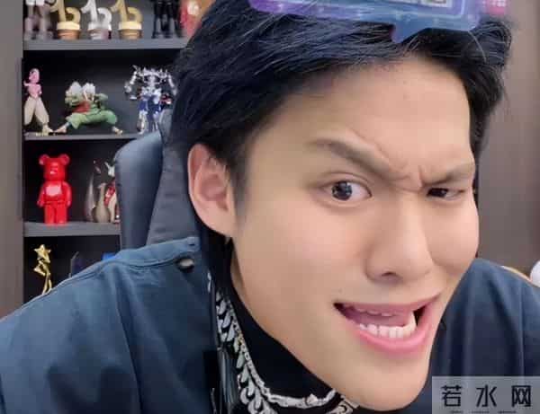 杨爸网上遛鸟的原视频