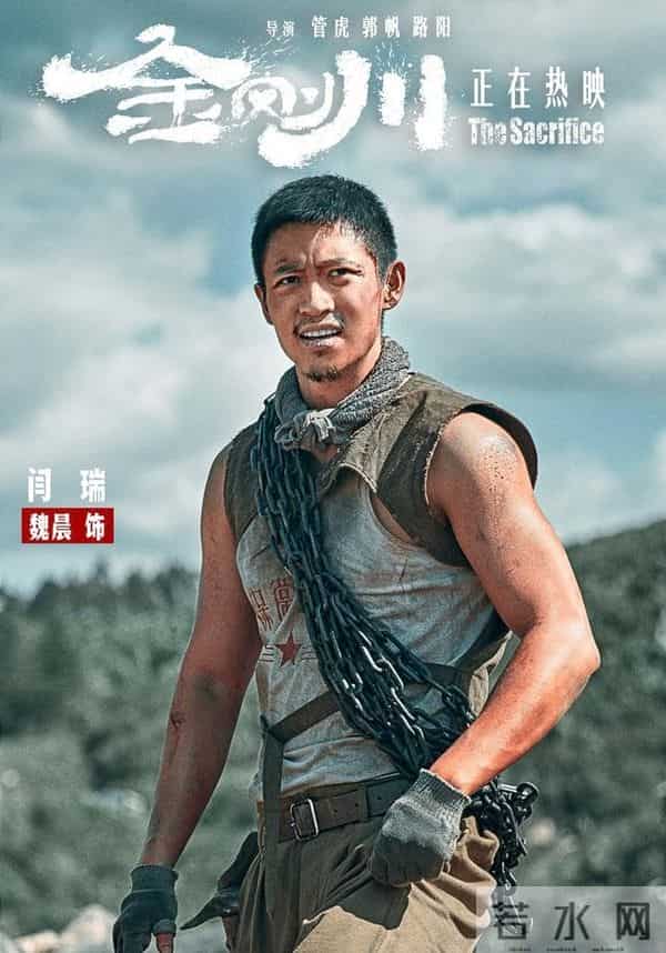 一起来看流星雨上过的节目