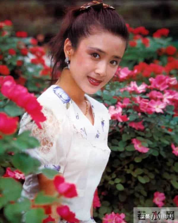 高乐男个人资料