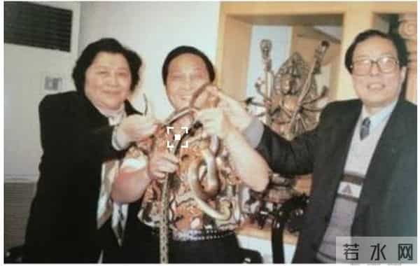 王林怎样玩赵薇的