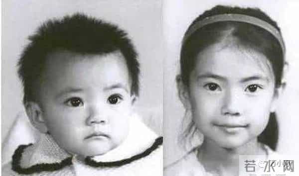 为什么说高圆圆是炮架子天涯