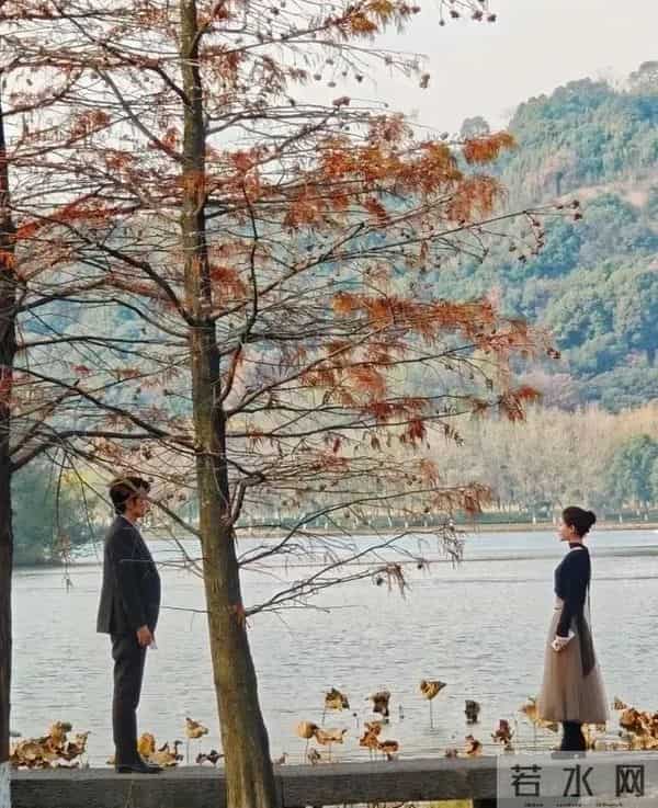 新恋爱时代中的英文歌