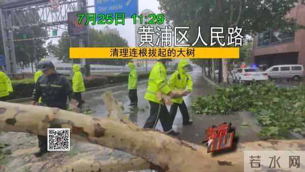 2013东方卫视春晚节目单