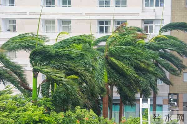 2022年第十二号台风