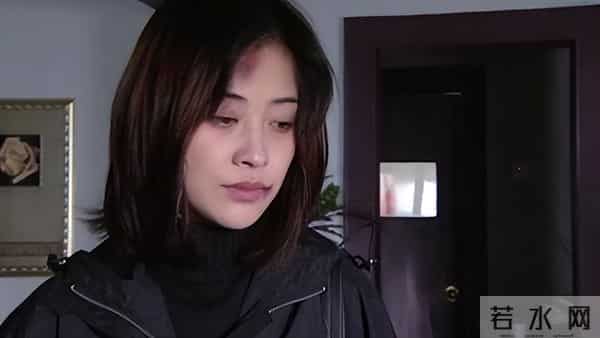 梅婷个人资料简介