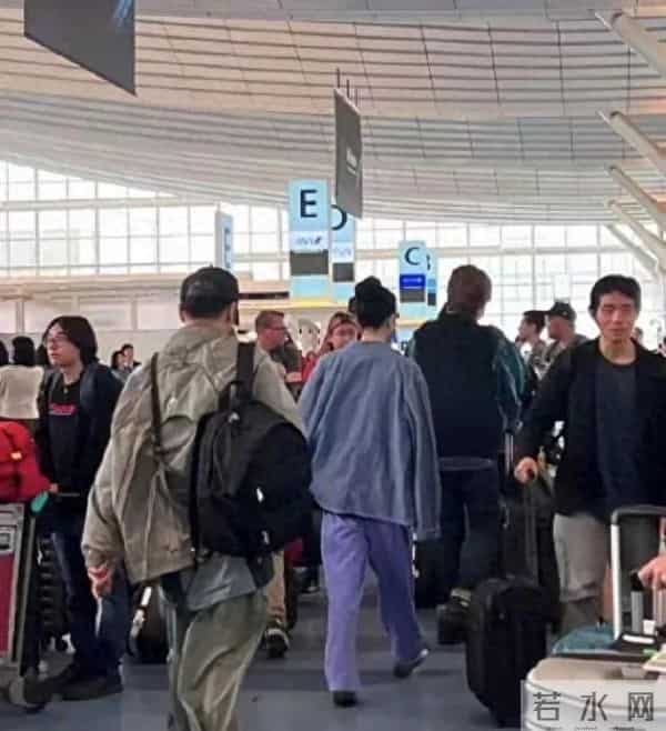 谢霆锋个人个人简历