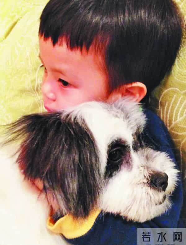 舒淇出卖林心如