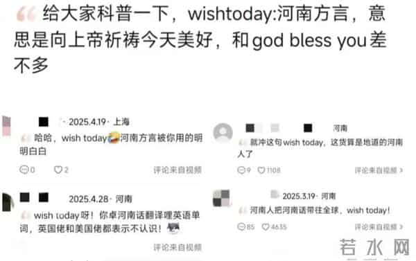 网上nt是什么意思梗