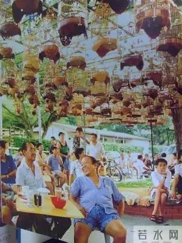 峇峇是什么意思