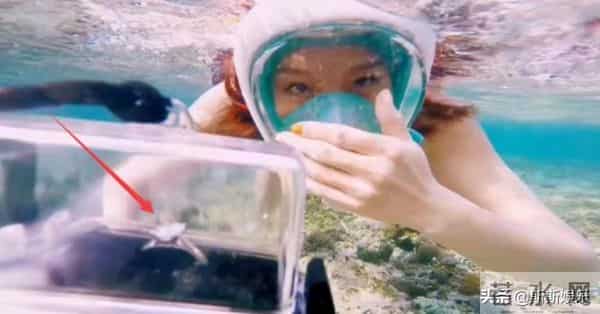 魏晨回应专业歌手不假唱