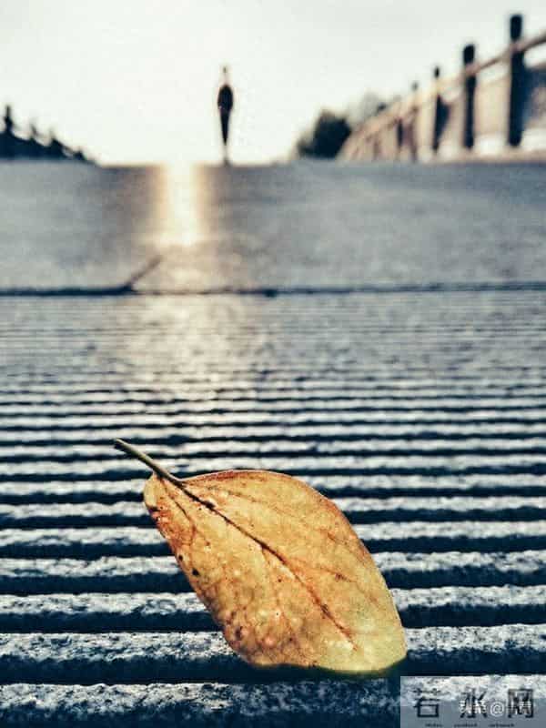 一寸光阴一寸心歌曲