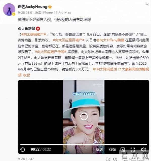 向佐被打事件真相