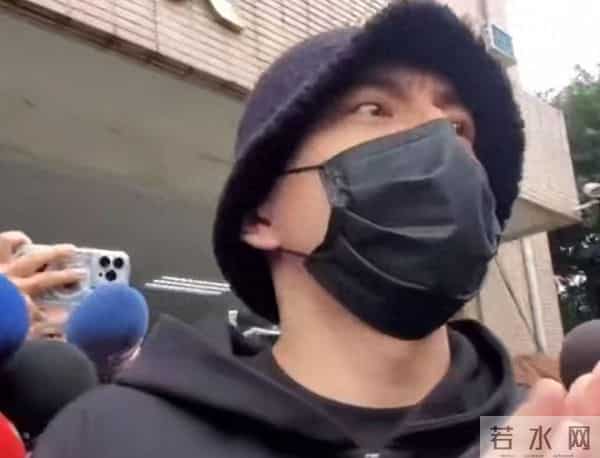 王大陆记者会取消