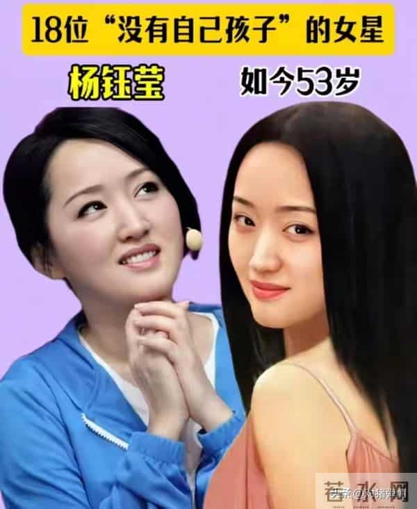 许晴不能生育