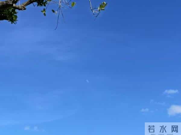 mv下载网站免费mp4