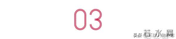 陈静事件完整照片