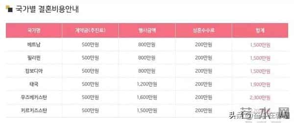 七年的爱金贤政