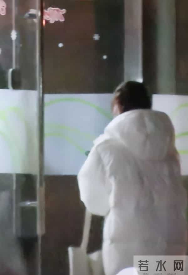 何洛洛盗版事件