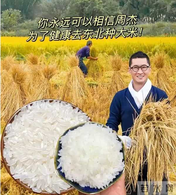 周杰陈道明