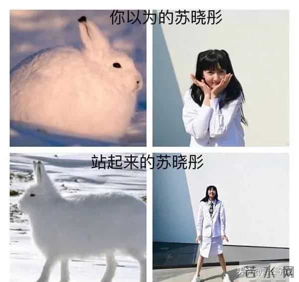 李斯羽个人资料