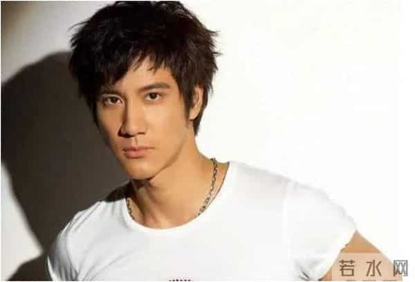 王力宏为什么打刘谦