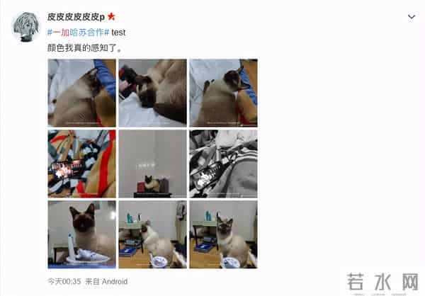 富豪说周迅是水缸