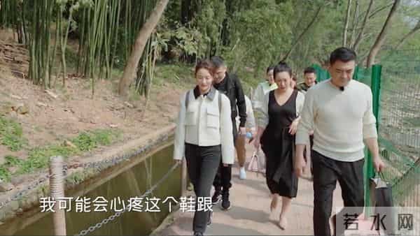 蒋勤勤和刘涛怎么了