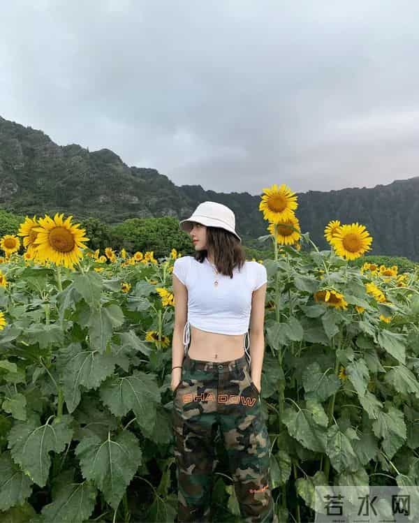 lisa是泰国和哪的混血