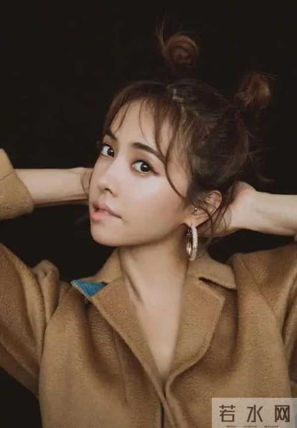 蔡依林个人简历