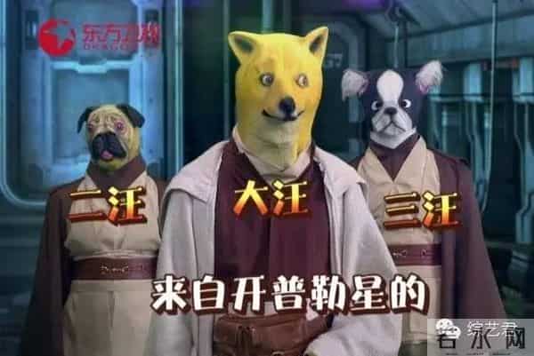 罗志祥老婆最喜欢的颜色