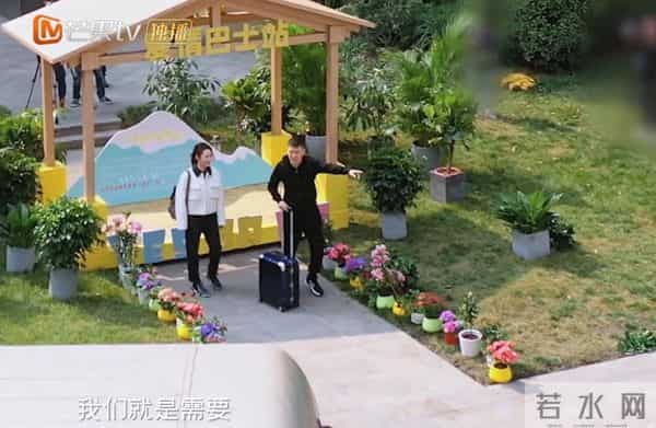 蒋勤勤和刘涛怎么了