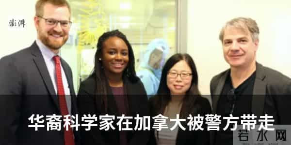 鬓边不是海棠红是男男