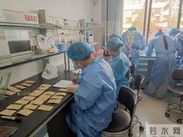 林丹丹个人资料