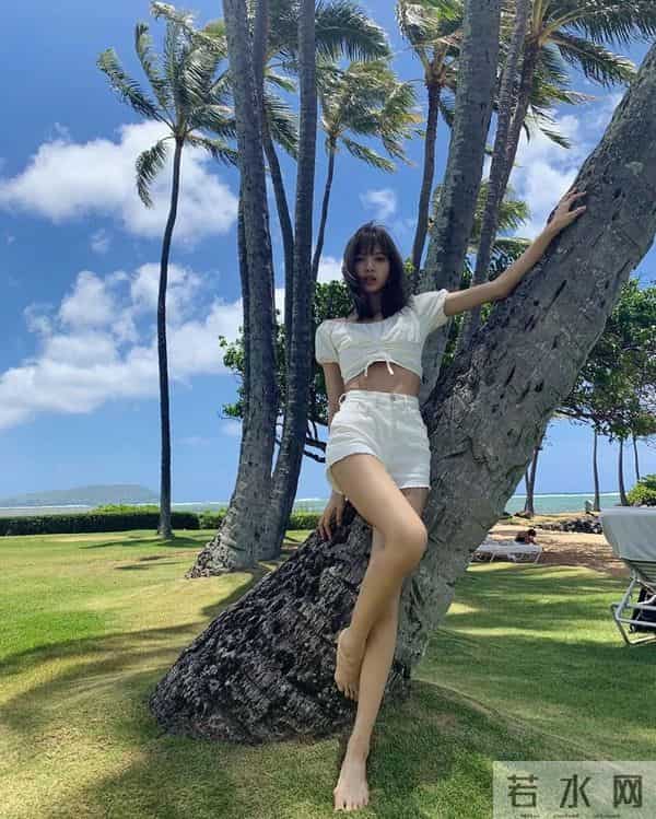 lisa是泰国和哪的混血