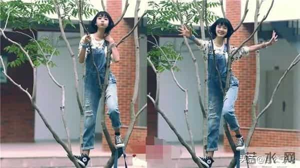 李斯羽个人资料