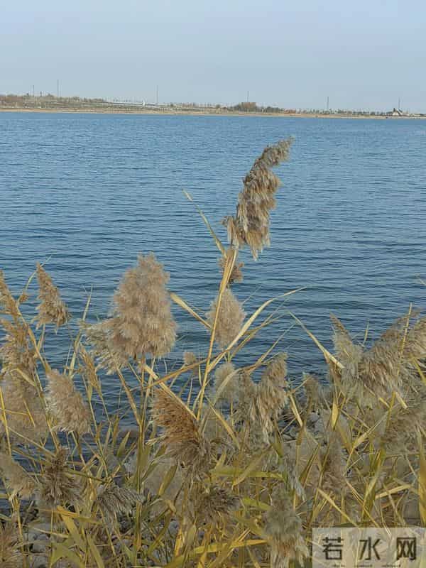 秋风吹起原唱完整版