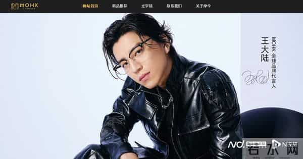 王大陆记者会取消