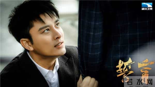 贾乃亮演的电视剧