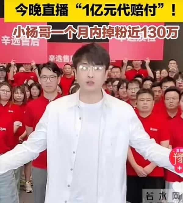 杨爸网上遛鸟的原视频