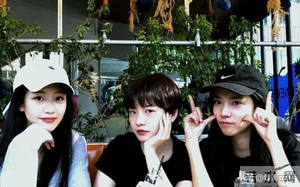 为什么徐静蕾是京圈长公主